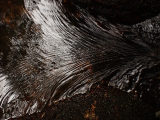PB291801a.jpg
